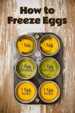 Yes You Can Freeze EGGS!!